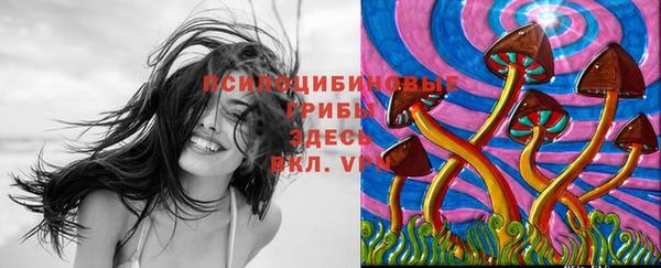 прущая мука Надым