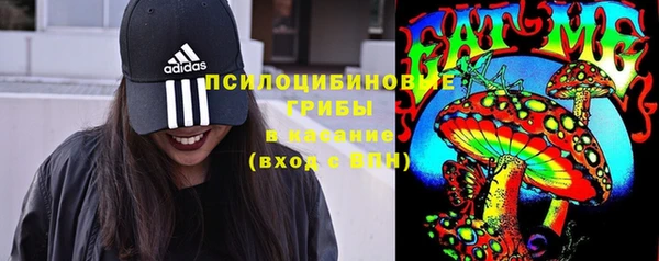 прущая мука Надым