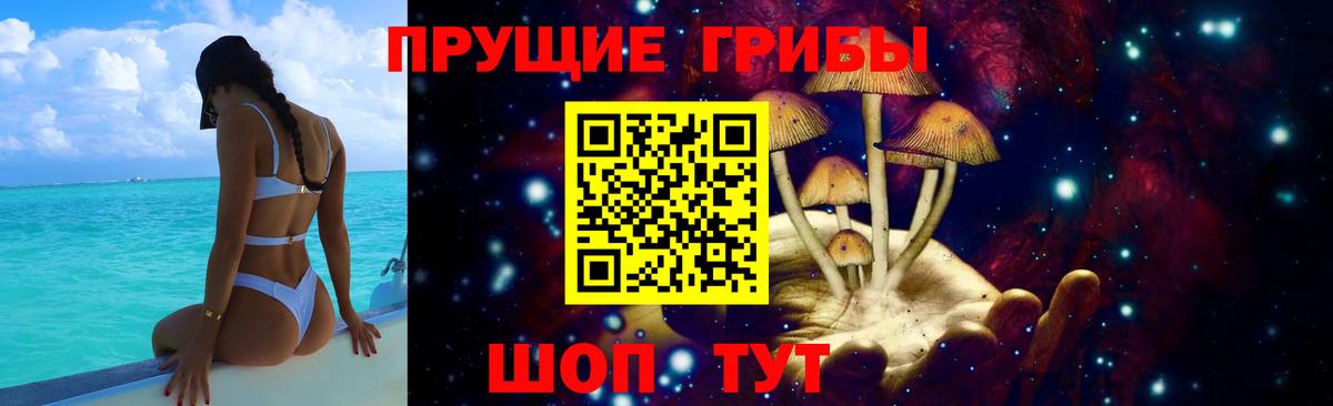 Псилоцибиновые грибы Cubensis Феодосия